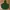 Nike Streetwear Sportswear Hoody Pria green photo 1