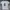 2019 DODIE CLARK *HUMAN* NORTH AMERICAN TOUR