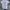 2019 DODIE CLARK *HUMAN* NORTH AMERICAN TOUR photo 2