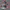 New Balance M850RKG Sneakers photo 2