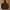 Nike Streetwear Sportswear Hoody Pria brown photo 1