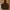 Nike Streetwear Sportswear Hoody Pria Brown