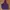 Nike Streetwear Sportswear Hoody Pria purple photo 1