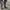 Harley davidson vintage harness riding leather boots photo 3