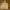 Nike Streetwear Sportswear Hoody Pria cream photo 1