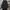 AllSaints Luxury Goth Parka Pria black photo 1