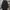 AllSaints Luxury Goth Parka Pria Black