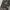Catch Wave Camo Cargo Pants photo 9