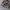 LRG Hoodie Lumberjack AOP Graffiti Hip Hop Y2K photo 4