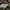 New Balance Sportswear Indie Sneakers Pria white tan photo 7