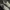 New Balance Sportswear Indie Sneakers Pria white tan photo 5