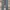 dickies 11874VG full print work pants #MRLP110 photo 4