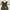 Overall Camo  photo 2