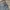 dickies 11874VG full print work pants #MRLP125 photo 6
