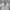 FRAPBOIS Vintage Avant Garde Formal shirt Pria white black photo 2