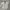 FRAPBOIS Vintage Avant Garde Formal shirt Pria white black photo 1