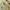 Alexander McQueen Luxury Avant Garde Formal shirt Pria yellow photo 6