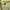 Alexander McQueen Luxury Avant Garde Formal shirt Pria yellow photo 4