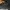 In the Attic M65 Military Jacket photo 6