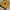 CHASE DESIGN Kyle Busch M&M's NASCAR Racing Jacket – Yellow photo 4