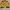 CHASE DESIGN Kyle Busch M&M's NASCAR Racing Jacket – Yellow photo 1