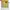 Adidas Sportswear Jersey Pria yellow photo 6