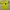 Adidas Sportswear Jersey Pria yellow photo 1