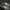 VANS Emo Indie Sneakers Pria white black photo 4