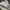 VANS Emo Indie Sneakers Pria white black photo 3
