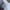 Levis font big logo white tees photo 5