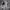 FIELD CORE CORDURA HIDEN HOOD JACKET photo 1