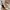 Adidas Streetwear Sneakers Pria white black photo 5