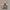 Nike Kyrie 8 Infinity Multi Color Camo Authentic photo 5