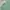 Acne Studios Streetwear Casual Sweatshirt Pria green photo 2