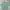 Acne Studios Streetwear Casual Sweatshirt Pria green photo 1