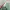 Acne Studios Streetwear Casual Sweatshirt Pria green photo 5