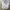 MONOMART DOUBLE BIG POCKET OUTER JACKET | OUTERWEAR | SKL 10 photo 3