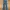 WOMEN TRUE RELIGION BOOT CUT RAINBOW EMBROIDERY STRETCH DENI photo 1