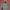 Y2k thermal double layered longsleve ifsixwasmine style photo 2