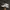 Adidas Indie Casual Sneakers Pria White Black