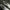 Adidas Indie Casual Sneakers Pria white black photo 4