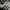 Adidas Indie Casual Sneakers Pria white black photo 2
