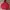 Nike Streetwear Sportswear Hoody Pria burgundy red photo 1