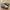 Adidas Casual Sneakers Pria white photo 1