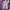 Casual Cargo Crop Pants Size M photo 4