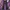 Profesional Plaid High Rise Pull-On Pants Size M photo 6