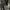Kend1 Short Cargo Pants Camo Y2k jort photo 3