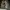 Kend1 Short Cargo Pants Camo Y2k jort photo 6