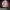 4d1ds Jacket Tracktop Running Red White Basic  photo 7
