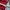 4d1ds Jacket Tracktop Running Red White Basic  photo 9